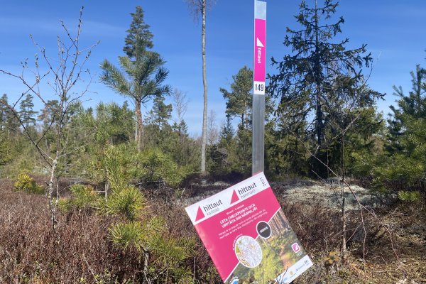 För få tyrare hittar ut